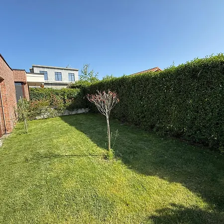 فيلة фамилия - Family